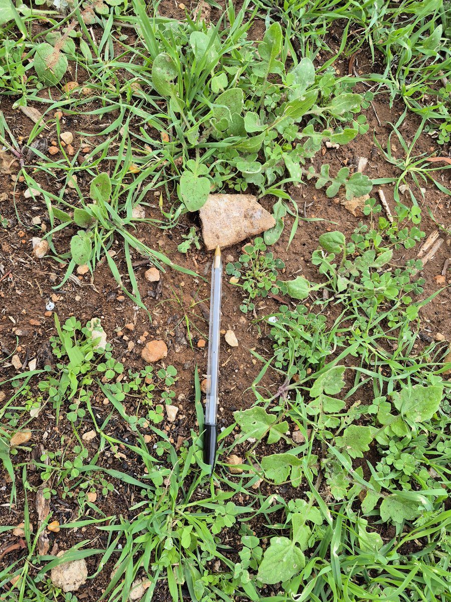 Bonded asbestos fragment observed at surface within former shopping centre footprint — Elizabeth Grove SA