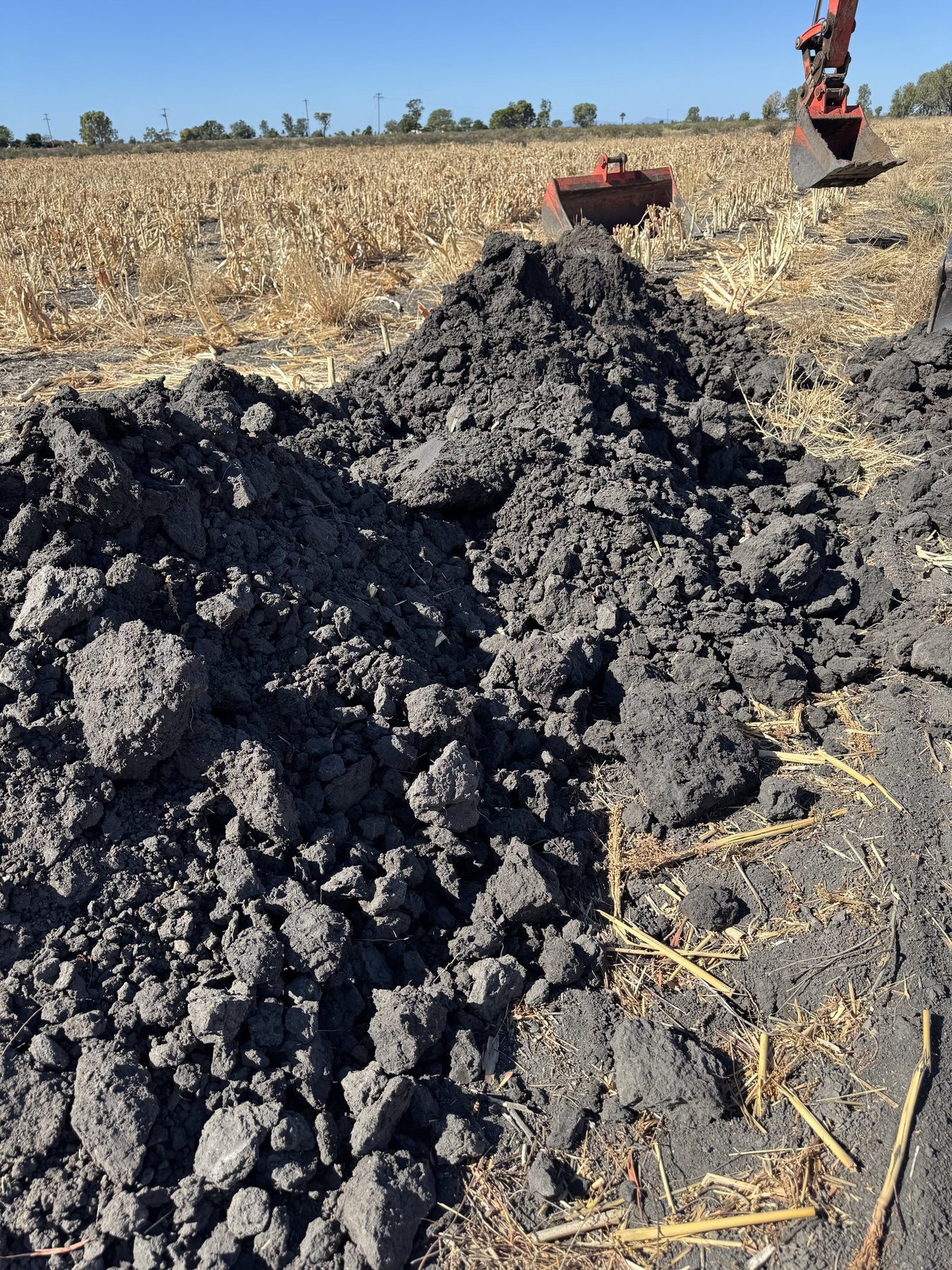 Excavated black vertosol clay — test pit investigation